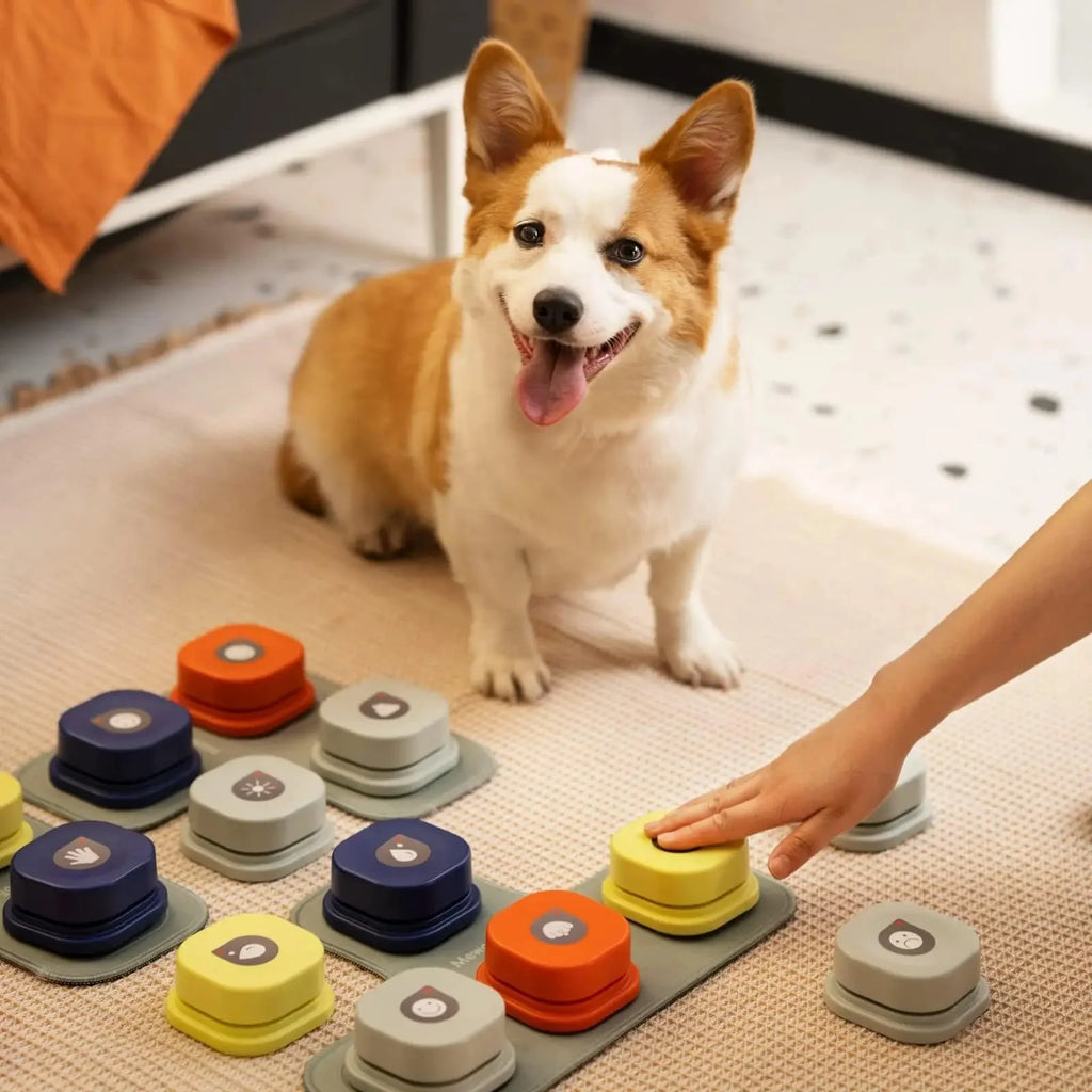 Jouet d'apprentissage vocal pour chien