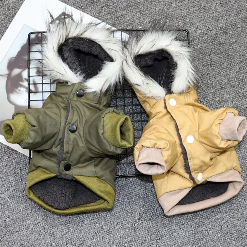 Manteau À Capuche Coupe-Vent Pour Petit Et Moyen Chien