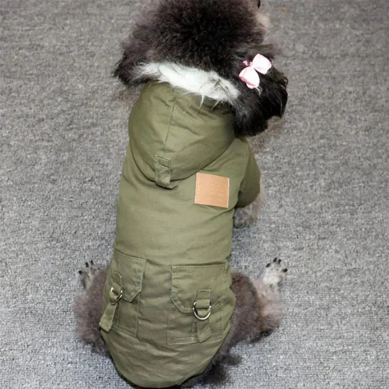 Manteau À Capuche Coupe-Vent Pour Petit Et Moyen Chien