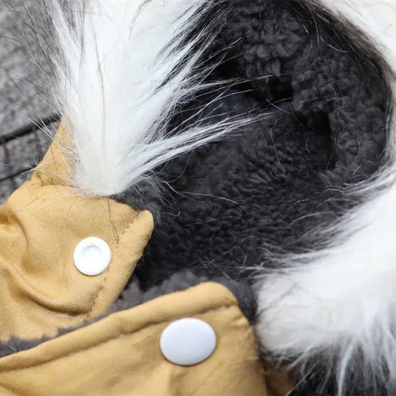 Manteau À Capuche Coupe-Vent Pour Petit Et Moyen Chien