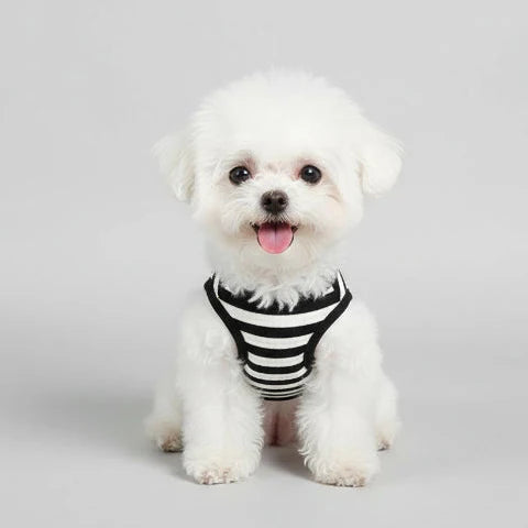 T-shirt Rayé Pour Chien Confortable