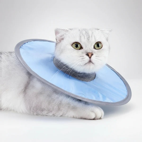 Collerette de protection waterproof pour chat Oscar et Plume Bleu / M