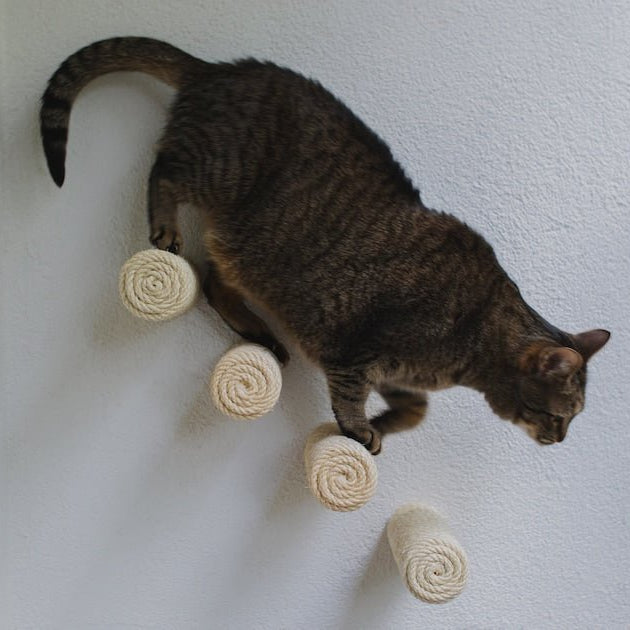 Marches murales pour chat - Escalade design mural