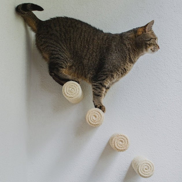 Marches murales pour chat - Escalade design mural