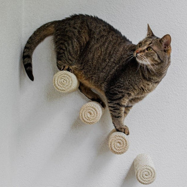 Marches murales pour chat - Escalade design mural