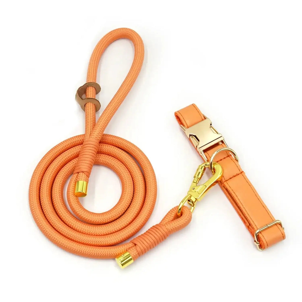 Ensemble Collier personnalisable, laisse et distributeur de sac  pour chien - Les Bonnes Affaires