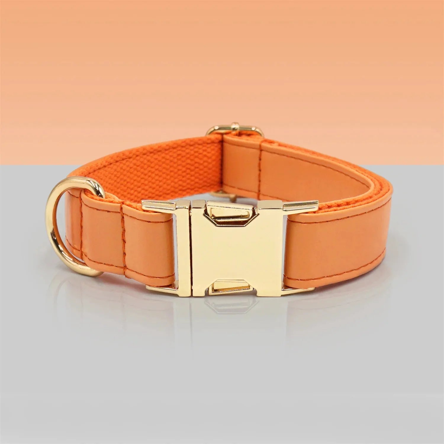 Ensemble Collier personnalisable, laisse et distributeur de sac  pour chien - Les Bonnes Affaires