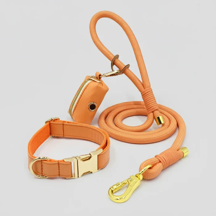 Ensemble Collier personnalisable, laisse et distributeur de sac  pour chien - Les Bonnes Affaires