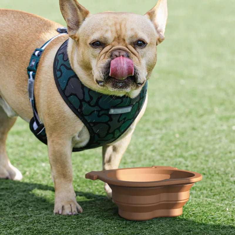 Gamelle pliable en Silicone Pour Chien