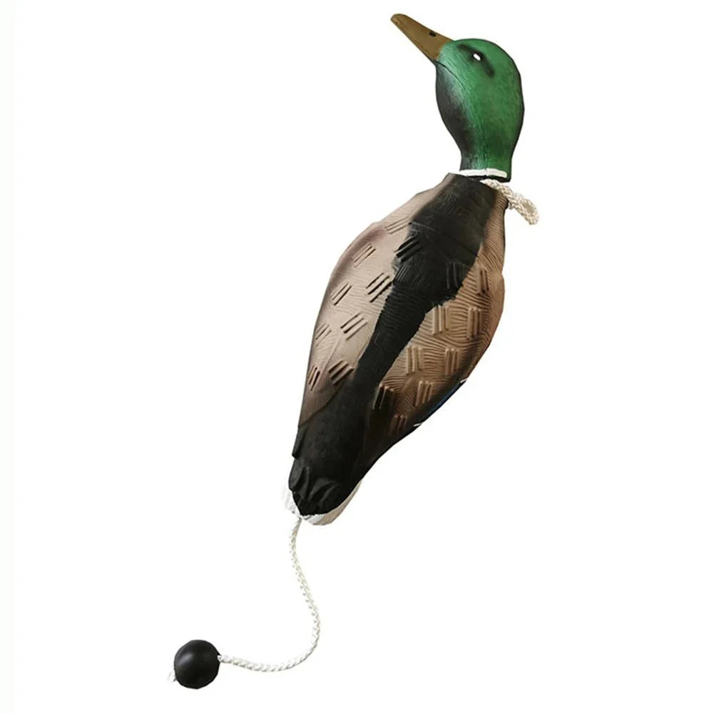 Jouet Chien Résistant Canard Design