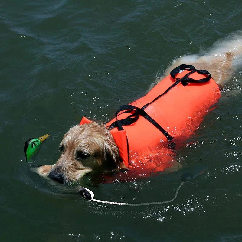 Jouet Chien Résistant Canard Design