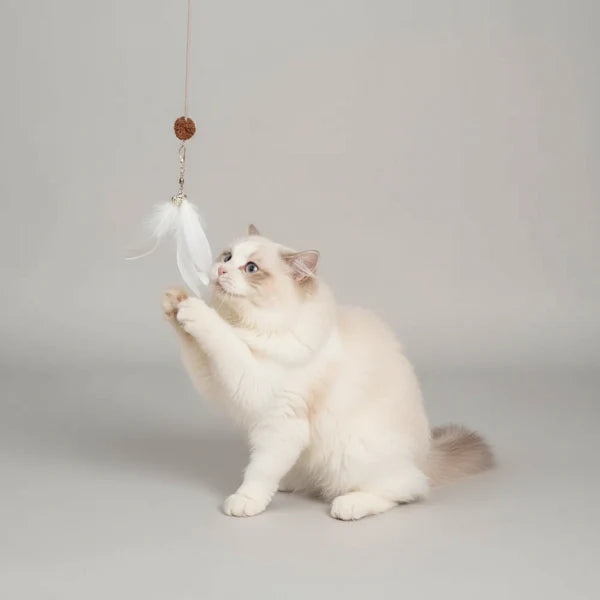 Jouet Interactif pour Chat
