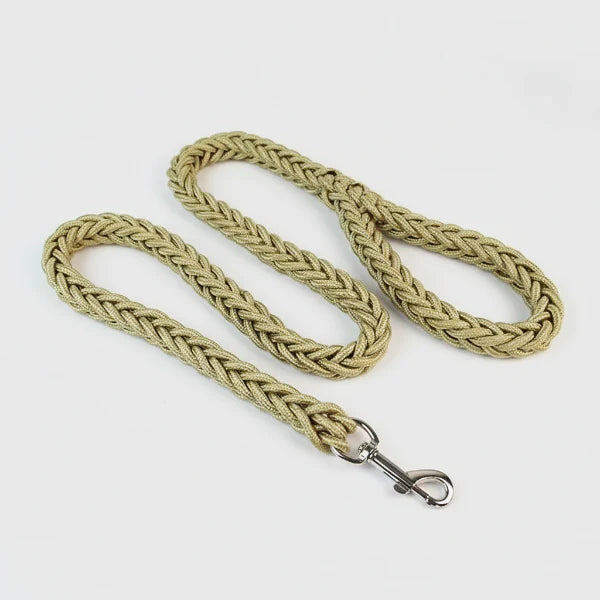 Laisse résistante en nylon de 1,3 m pour chien Oscar et Plume kaki / Diamètre 1.5 cm