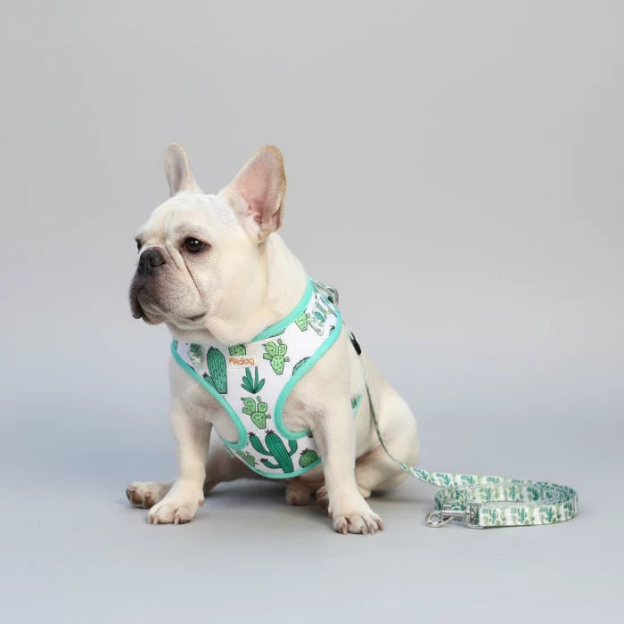 Ensemble harnais et laisse à motif pour chien