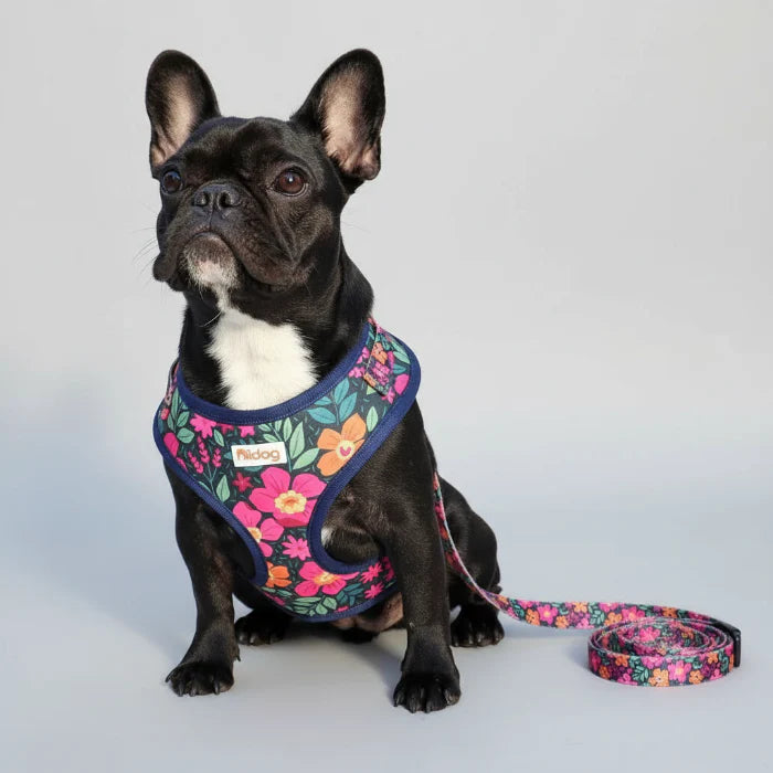 Ensemble harnais et laisse à motif pour chien - Les Bonnes Affaires