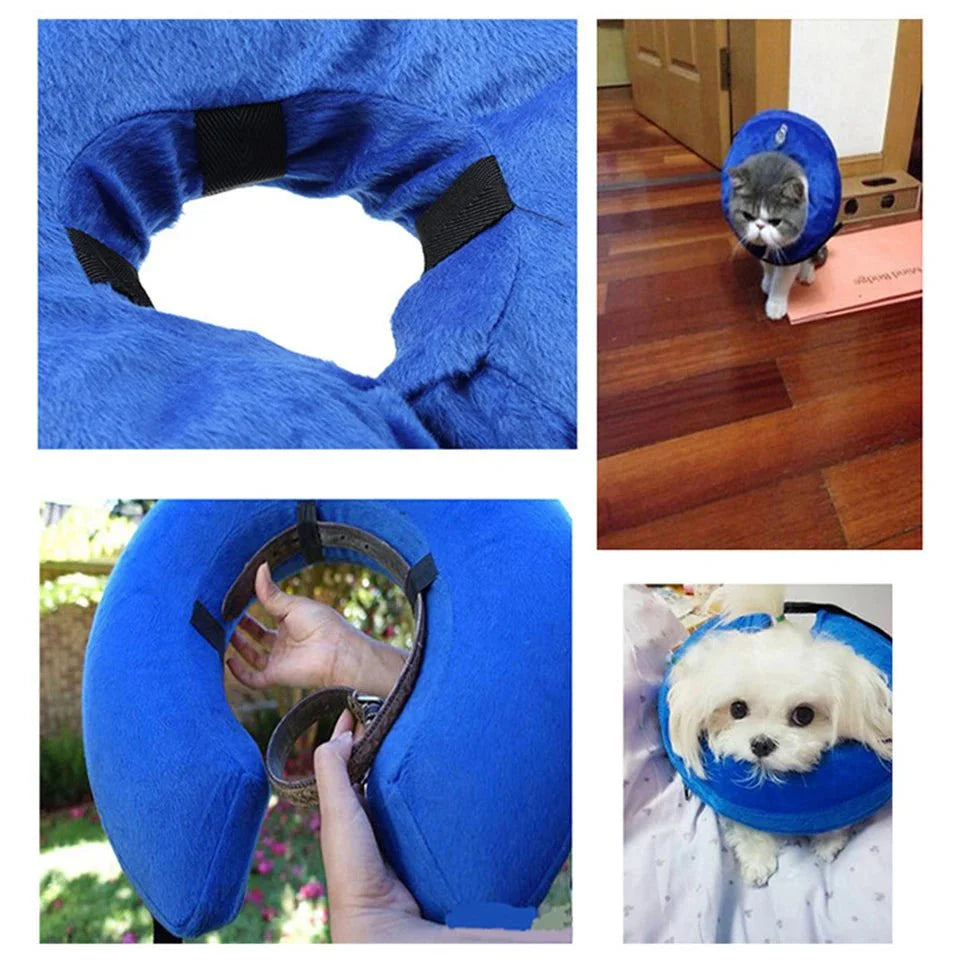 Collerette Gonflable Réglable Pour Chien Et Chat