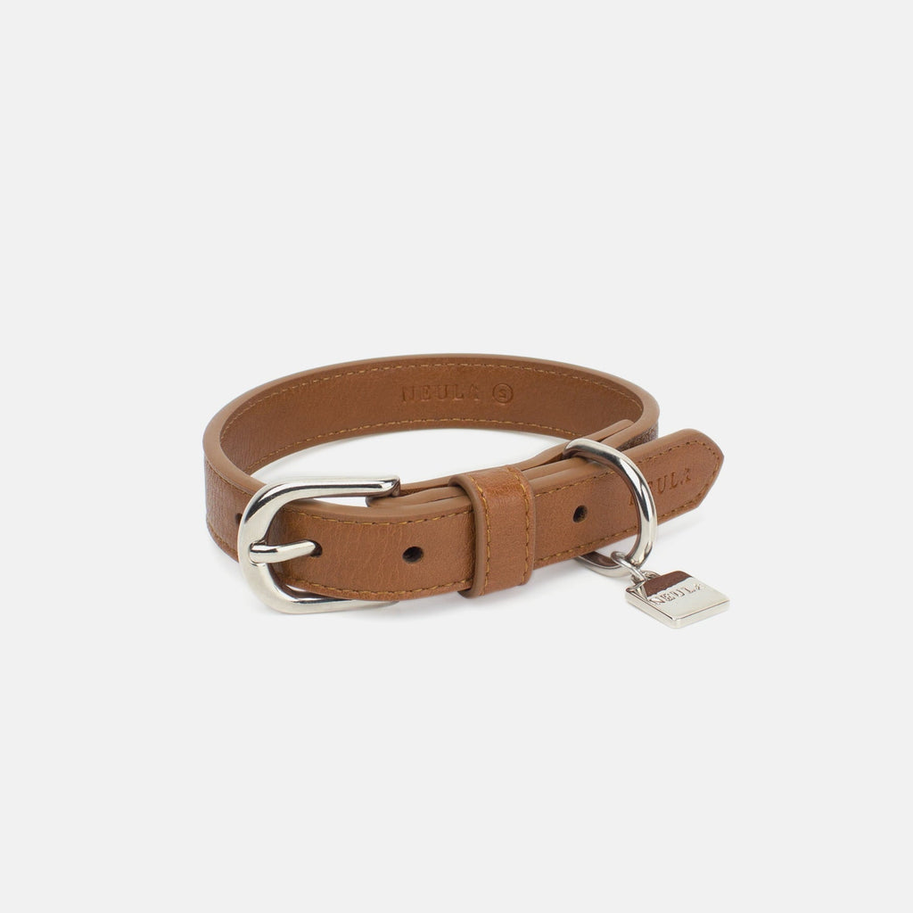 Collier en Cuir Vegan Pour Chien Élégant