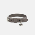 Collier en Cuir Vegan Pour Chien Élégant Oscar et Plume Gris / XS