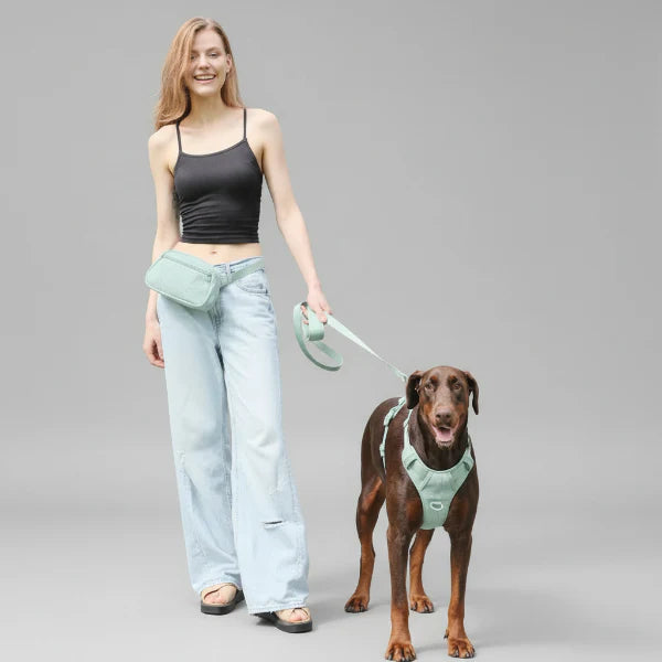 Harnais Velours Confort Et Résistant Pour Chien