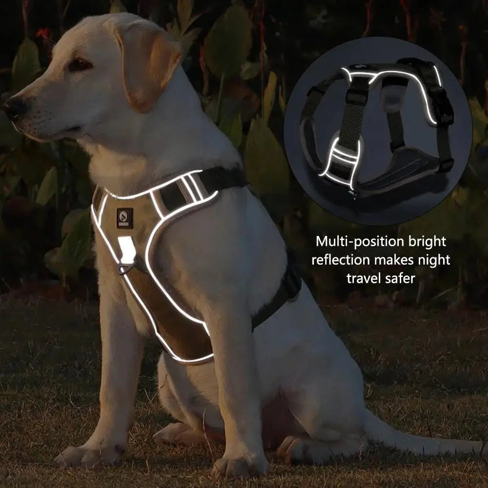 Harnais Anti-Traction Pour Moyen Et Grand Chien