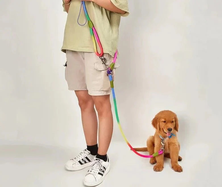 Laisse Réfléchissante Pour Chien Colorée Et Résistante