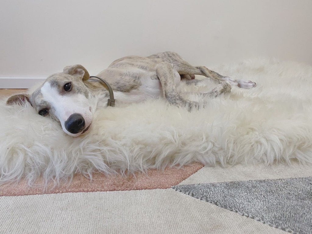 Tapis Luxe En Peau De Mouton Pour Chien
