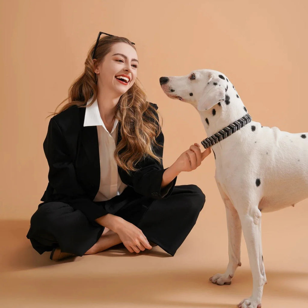 Collier Elégant En Fil Tressé Pour Chien