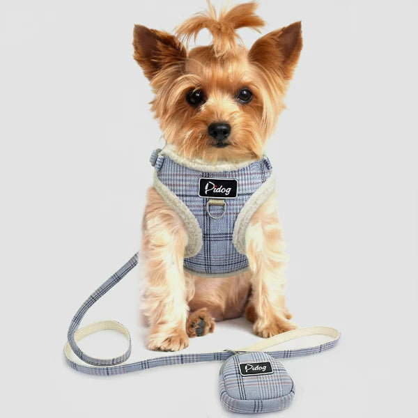 Harnais réglable, laisse et sac pour petit chien