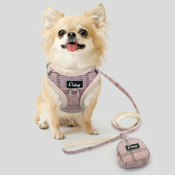 Harnais réglable, laisse et sac pour petit chien