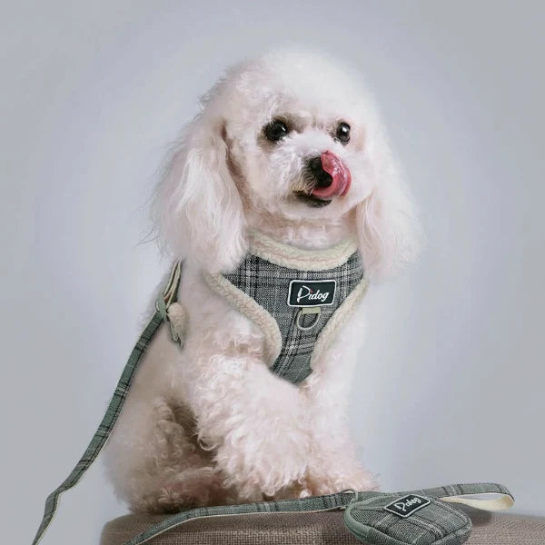 Harnais réglable, laisse et sac pour petit chien