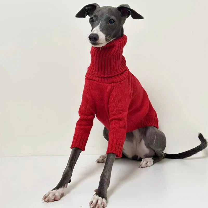 Pull Col Roulé Pour Lévrier - Confort Stylé