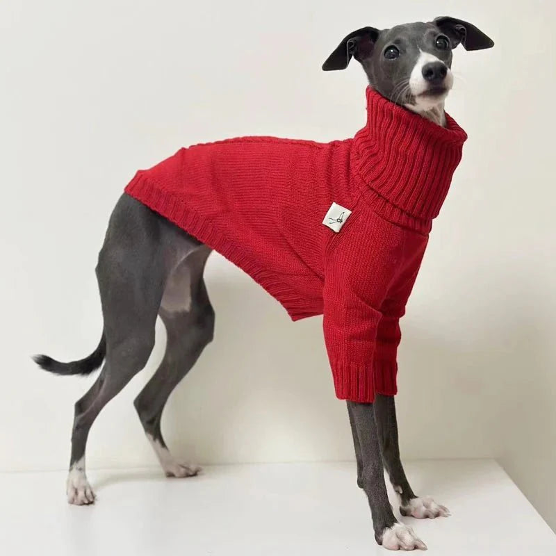 Pull Col Roulé Pour Lévrier - Confort Stylé