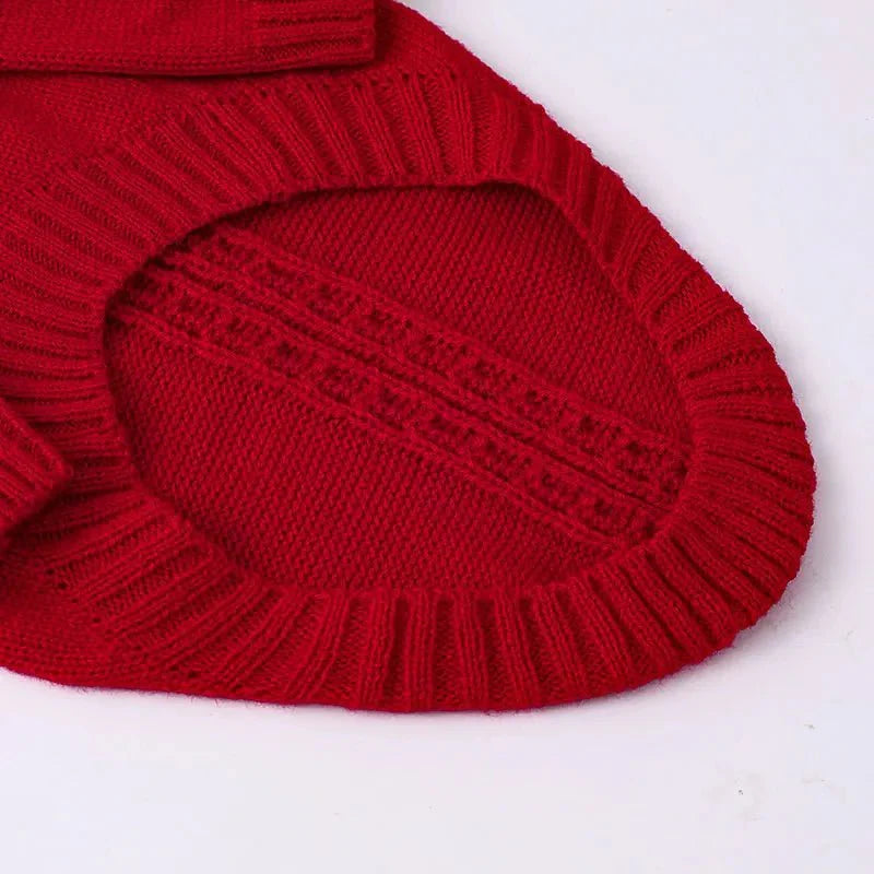 Pull Col Roulé Pour Lévrier - Confort Stylé