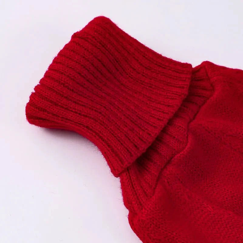 Pull Col Roulé Pour Lévrier - Confort Stylé
