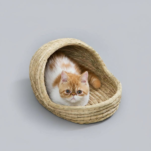 Panier en Osier pour Chat - Confort Naturel et Design
