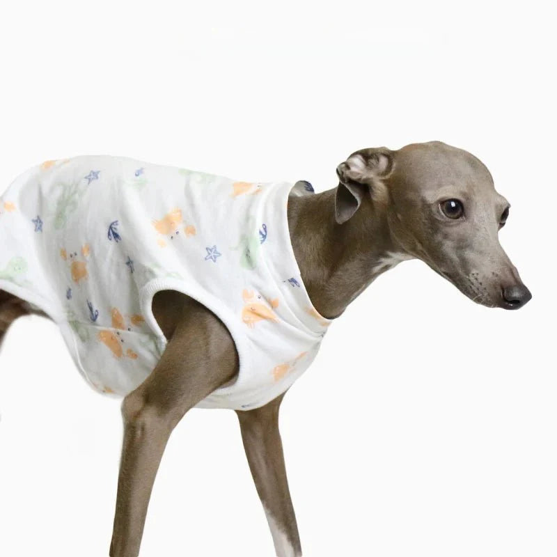 T-shirt Doux Pour Lévrier Et Whippet
