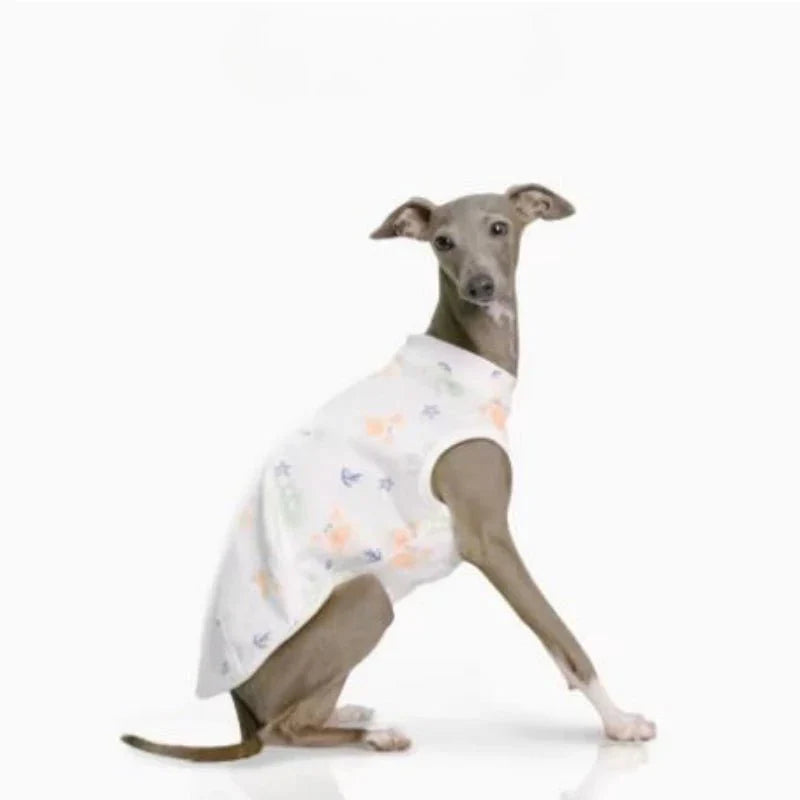 T-shirt Doux Pour Lévrier Et Whippet