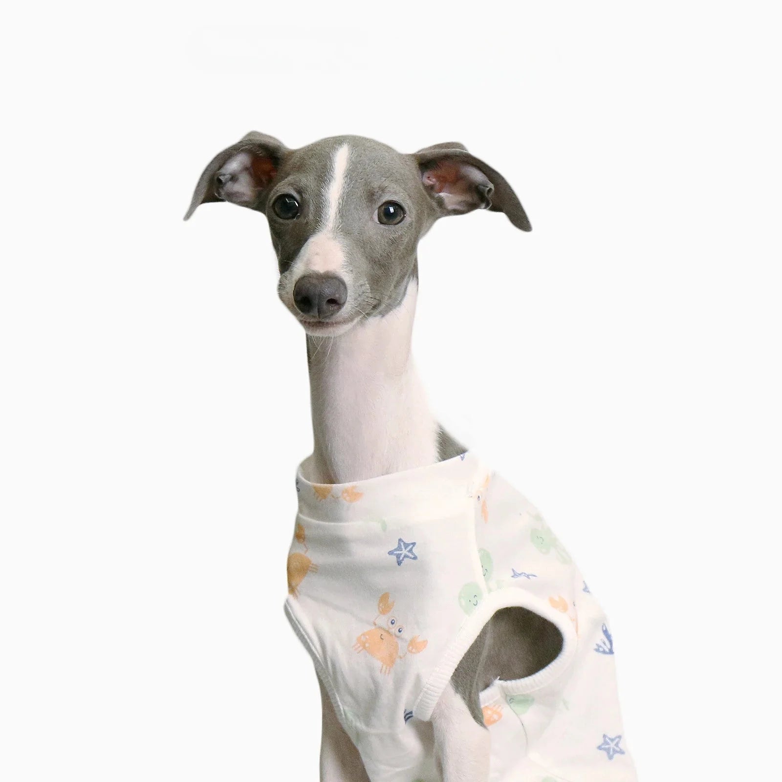 T-shirt Doux Pour Lévrier Et Whippet