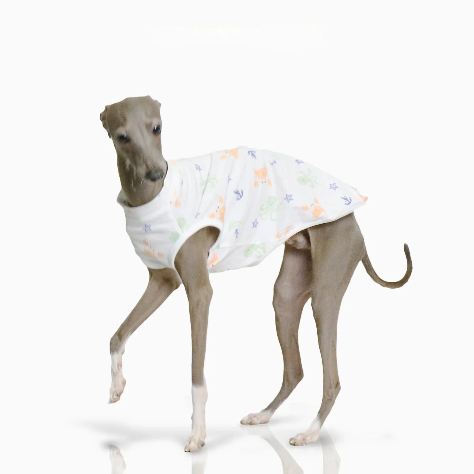 T-shirt Doux Pour Lévrier Et Whippet