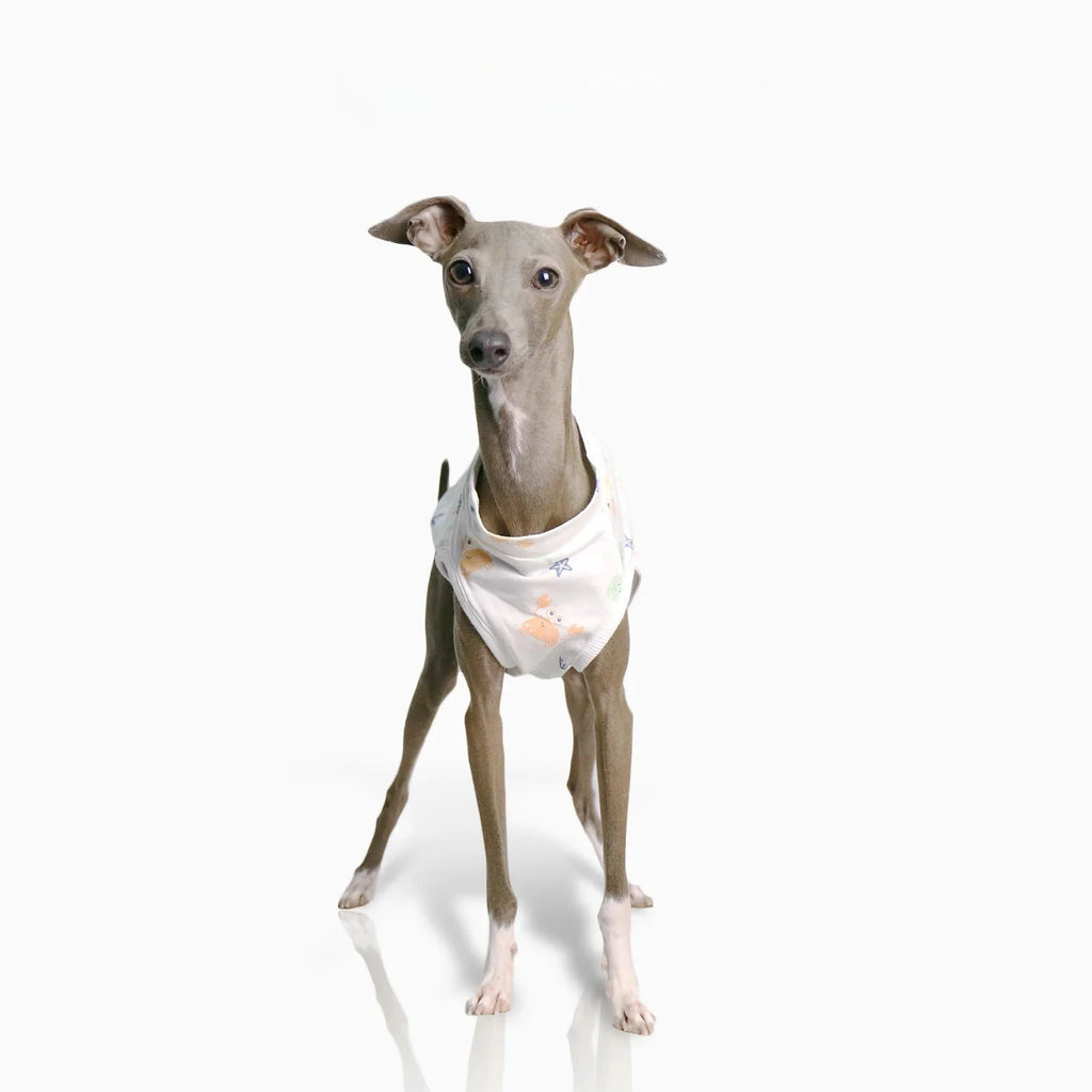 T-shirt Doux Pour Lévrier Et Whippet