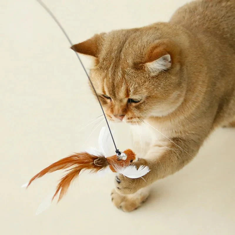 Plume Oiseau Pour Chat Jouet Naturel
