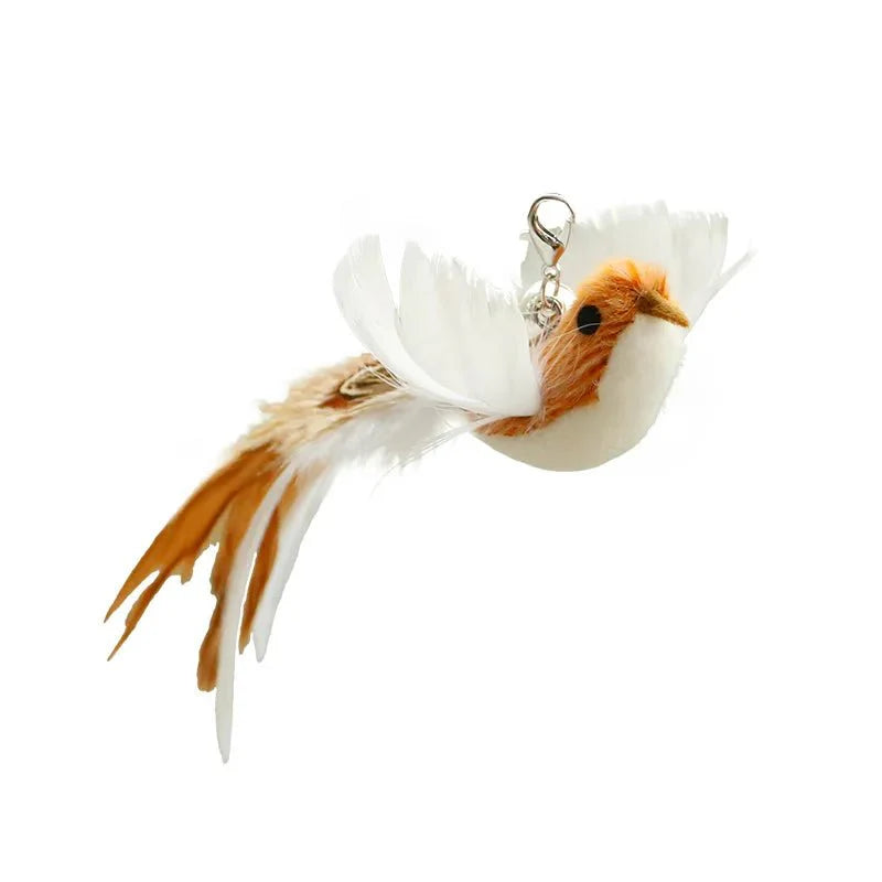 Plume Oiseau Pour Chat Jouet Naturel