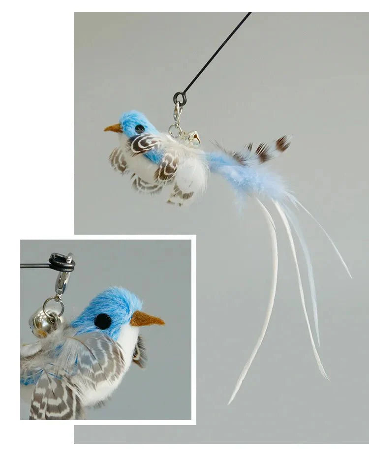 Plume Oiseau Pour Chat Jouet Naturel