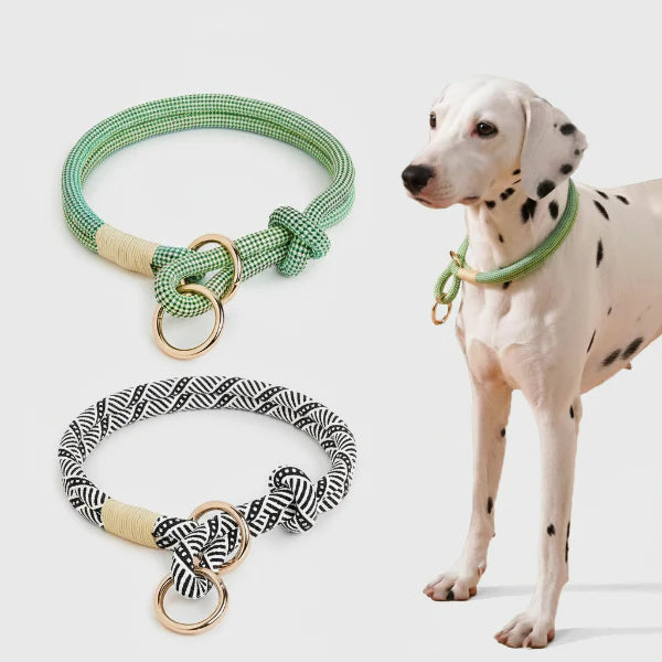 Collier Réglable Coulissant En Nylon Pour Chien