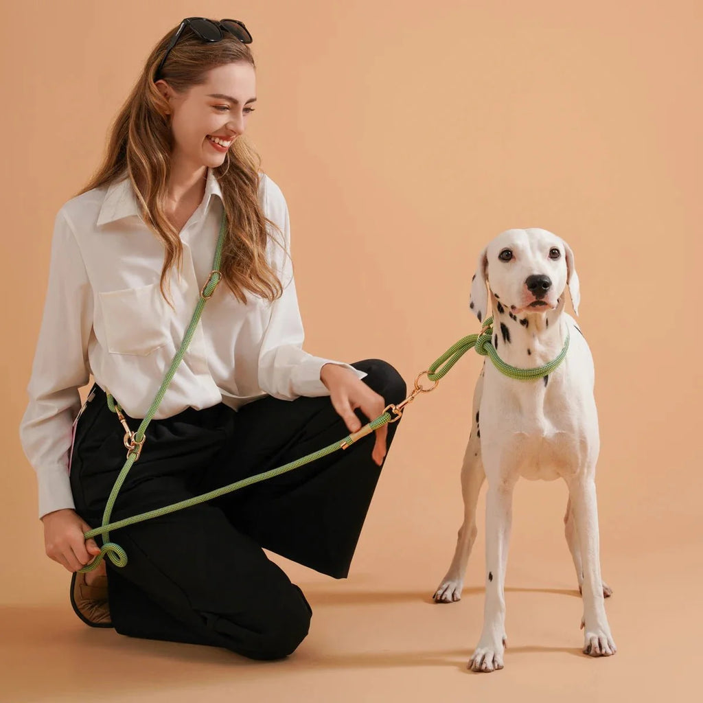 Collier Réglable Coulissant En Nylon Pour Chien