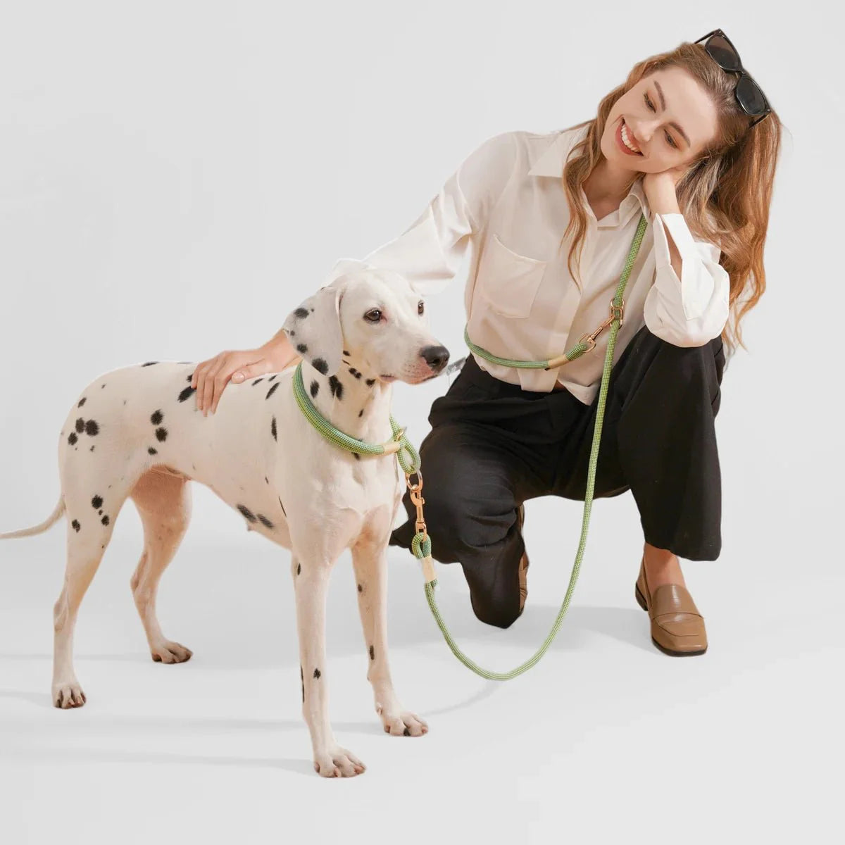 Collier Réglable Coulissant En Nylon Pour Chien