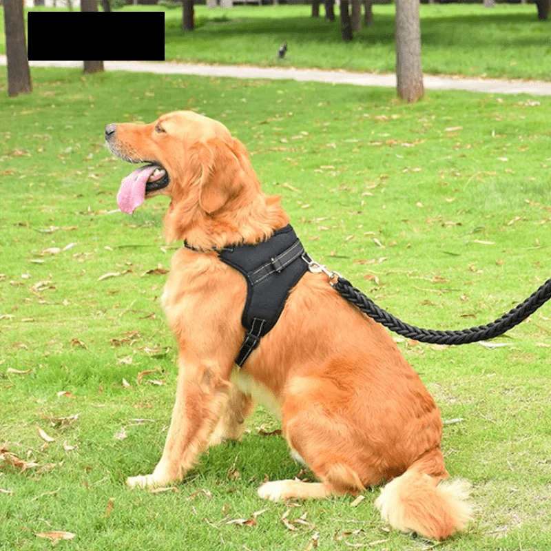 Harnais Réglable Pour Petit Moyen Et Grand Chien