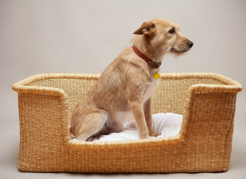Panier Artisanal Africain Pour Chien