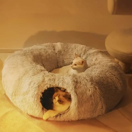 panier chat tunnel