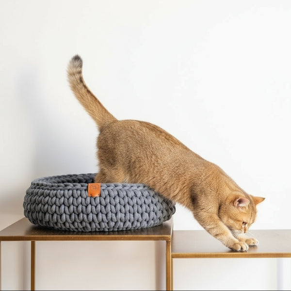Panier chat en coton recyclé gris sur une table avec un chat explorant un vase décoratif